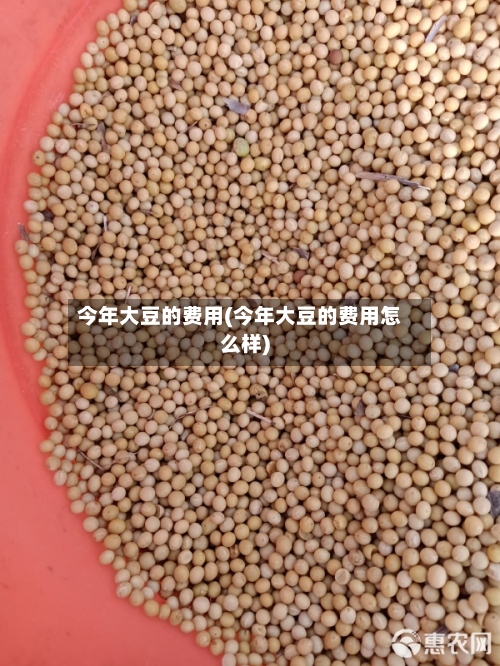 今年大豆的费用(今年大豆的费用怎么样)-第3张图片