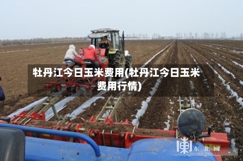 牡丹江今日玉米费用(牡丹江今日玉米费用行情)-第3张图片