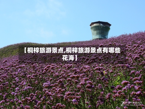 【桐梓旅游景点,桐梓旅游景点有哪些花海】