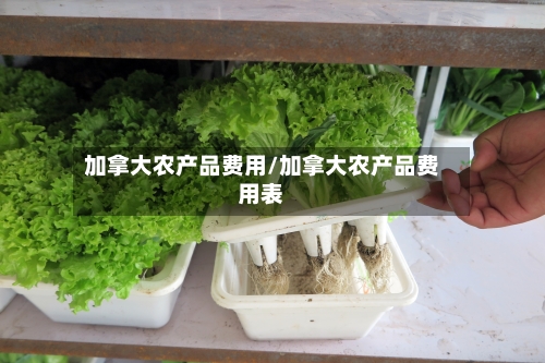 加拿大农产品费用/加拿大农产品费用表-第2张图片