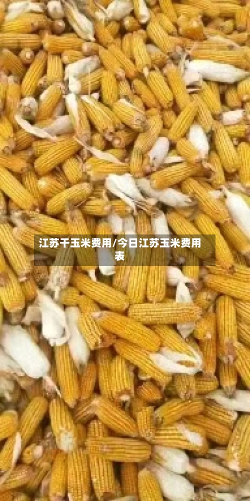 江苏干玉米费用/今日江苏玉米费用表