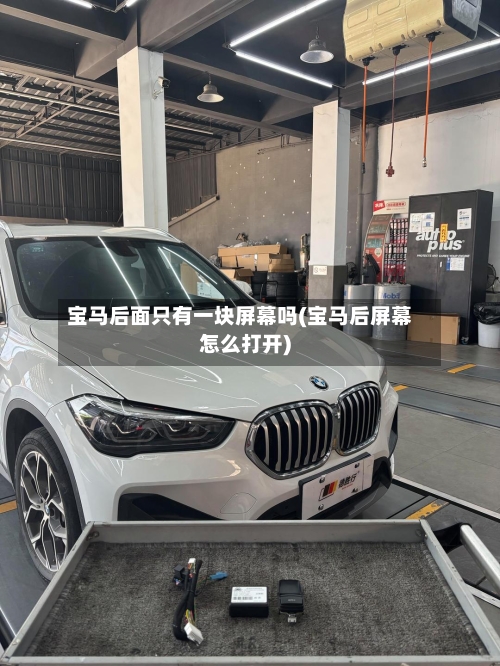 宝马后面只有一块屏幕吗(宝马后屏幕怎么打开)-第3张图片