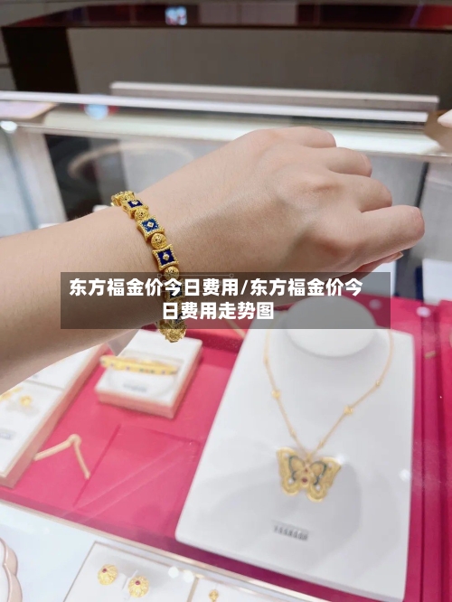 东方福金价今日费用/东方福金价今日费用走势图-第3张图片
