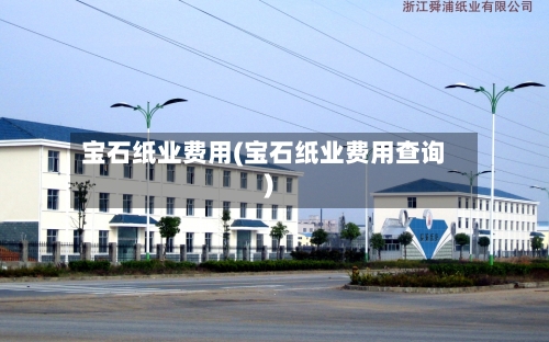 宝石纸业费用(宝石纸业费用查询)-第3张图片