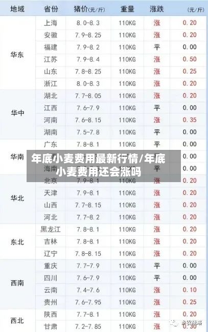 年底小麦费用最新行情/年底小麦费用还会涨吗