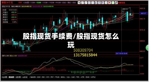 股指现货手续费/股指现货怎么玩