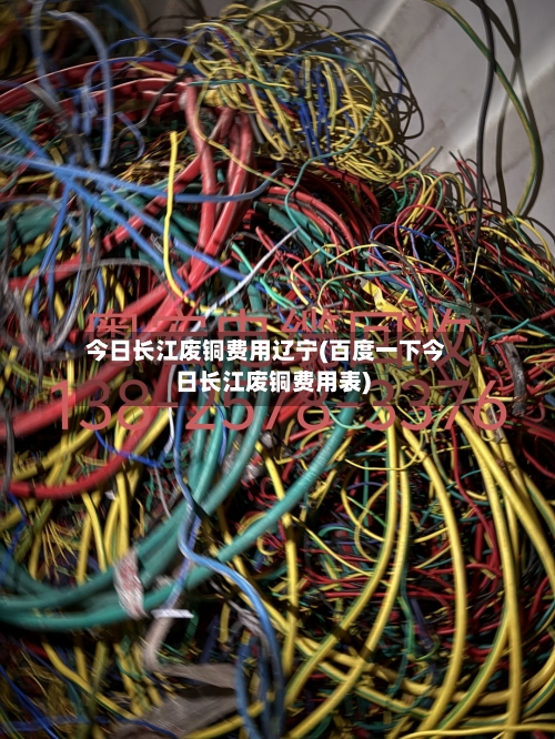 今日长江废铜费用辽宁(百度一下今日长江废铜费用表)