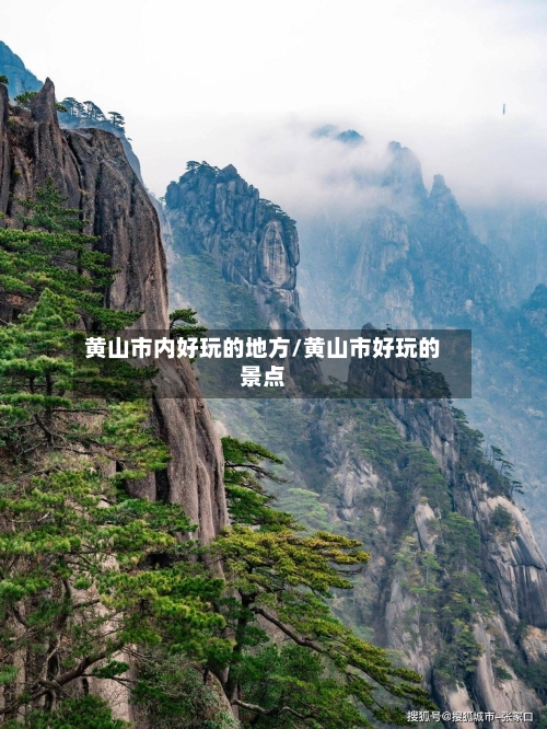黄山市内好玩的地方/黄山市好玩的景点-第3张图片