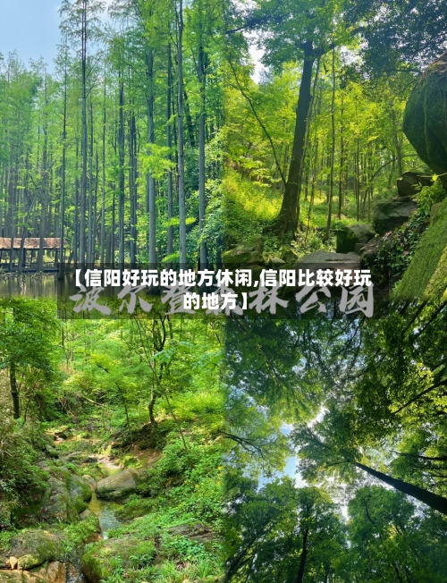 【信阳好玩的地方休闲,信阳比较好玩的地方】