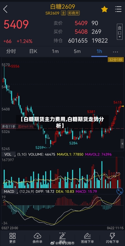 【白糖期货主力费用,白糖期货走势分析】