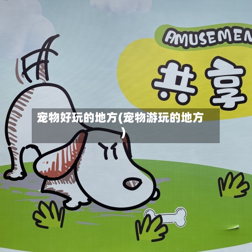 宠物好玩的地方(宠物游玩的地方)-第2张图片