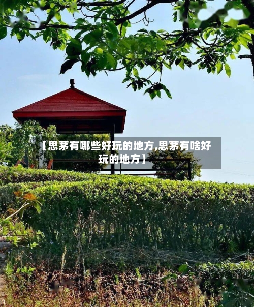 【思茅有哪些好玩的地方,思茅有啥好玩的地方】