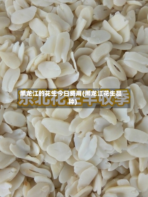 黑龙江的花生今日费用(黑龙江花生品种)-第2张图片