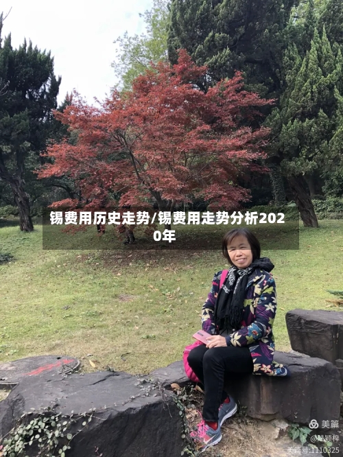锡费用历史走势/锡费用走势分析2020年