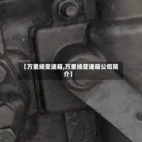 【万里扬变速箱,万里扬变速箱公司简介】-第2张图片