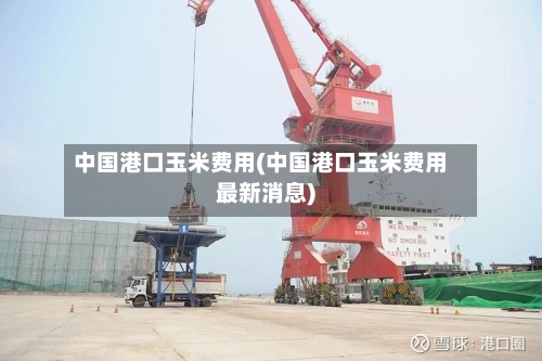 中国港口玉米费用(中国港口玉米费用最新消息)-第2张图片