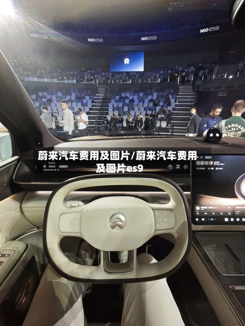 蔚来汽车费用及图片/蔚来汽车费用及图片es9-第2张图片