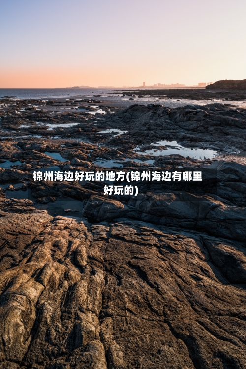 锦州海边好玩的地方(锦州海边有哪里好玩的)-第1张图片