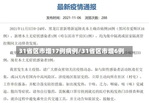31省区市增17例病例/31省区市增6例-第2张图片