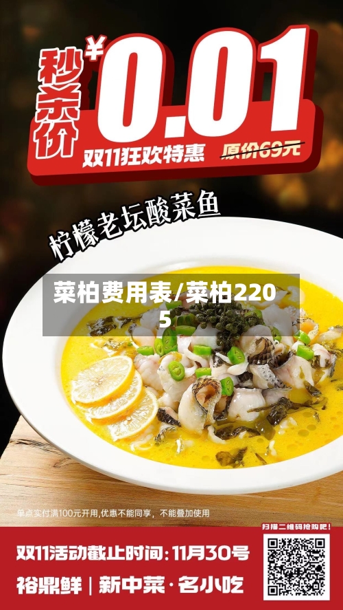 菜柏费用表/菜柏2205