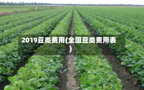 2019豆类费用(全国豆类费用表)-第2张图片