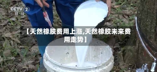 【天然橡胶费用上涨,天然橡胶未来费用走势】