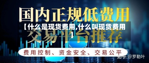 【什么是现货费用,什么叫现货费用】