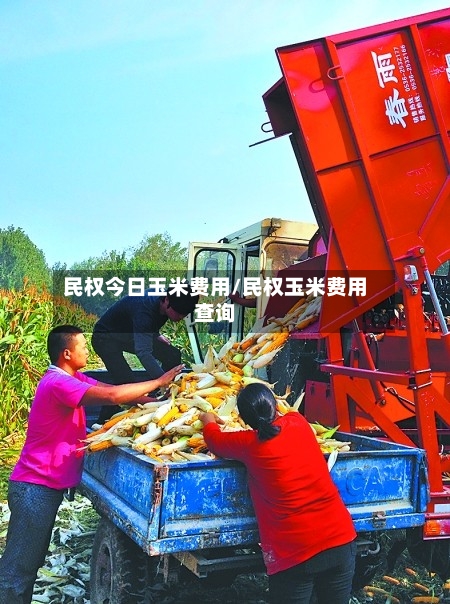 民权今日玉米费用/民权玉米费用查询-第2张图片