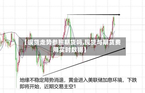 【现货走势参照期货吗,现货与期货费用实时数据】