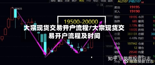 大宗现货交易开户流程/大宗现货交易开户流程及时间-第2张图片