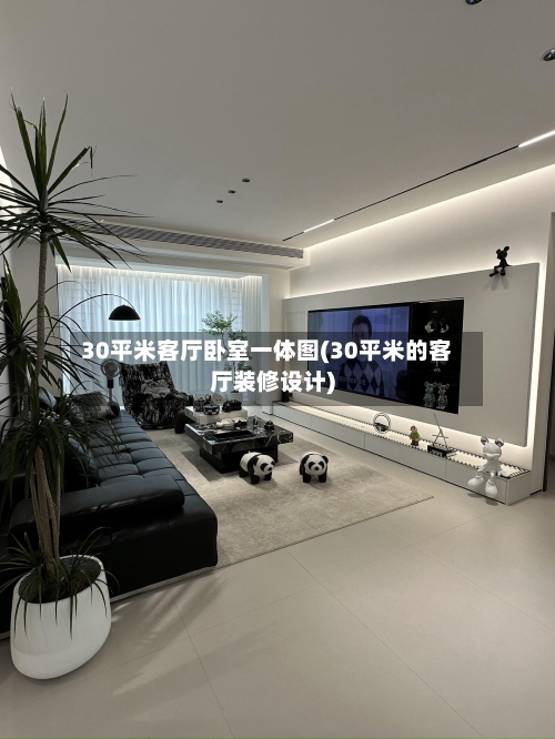 30平米客厅卧室一体图(30平米的客厅装修设计)-第3张图片