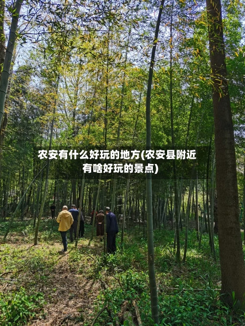 农安有什么好玩的地方(农安县附近有啥好玩的景点)