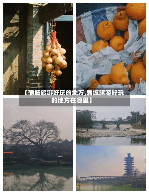 【蒲城旅游好玩的地方,蒲城旅游好玩的地方在哪里】-第2张图片