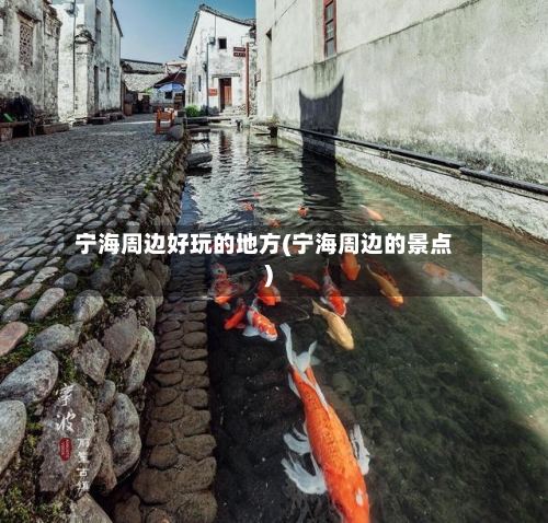宁海周边好玩的地方(宁海周边的景点)-第3张图片