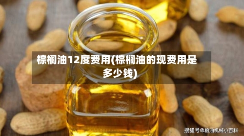 棕榈油12度费用(棕榈油的现费用是多少钱)-第2张图片