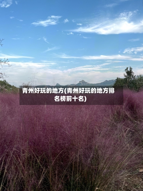 青州好玩的地方(青州好玩的地方排名榜前十名)
