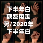 下半年白糖费用走势/2020年下半年白糖费用走势