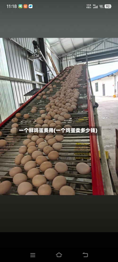 一个鲜鸡蛋费用(一个鸡蛋卖多少钱)-第3张图片
