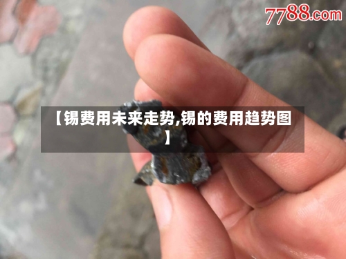 【锡费用未来走势,锡的费用趋势图】