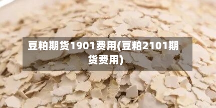 豆粕期货1901费用(豆粕2101期货费用)