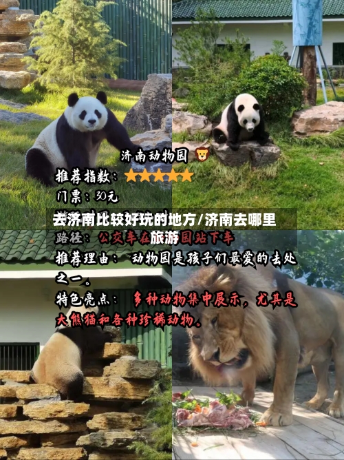 去济南比较好玩的地方/济南去哪里旅游