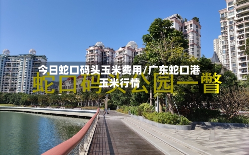 今日蛇口码头玉米费用/广东蛇口港玉米行情-第2张图片