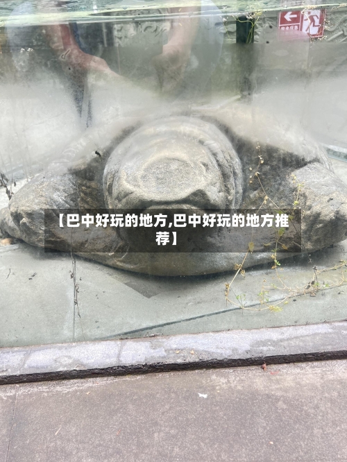 【巴中好玩的地方,巴中好玩的地方推荐】