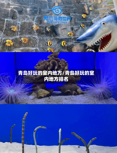 青岛好玩的室内地方/青岛好玩的室内地方排名