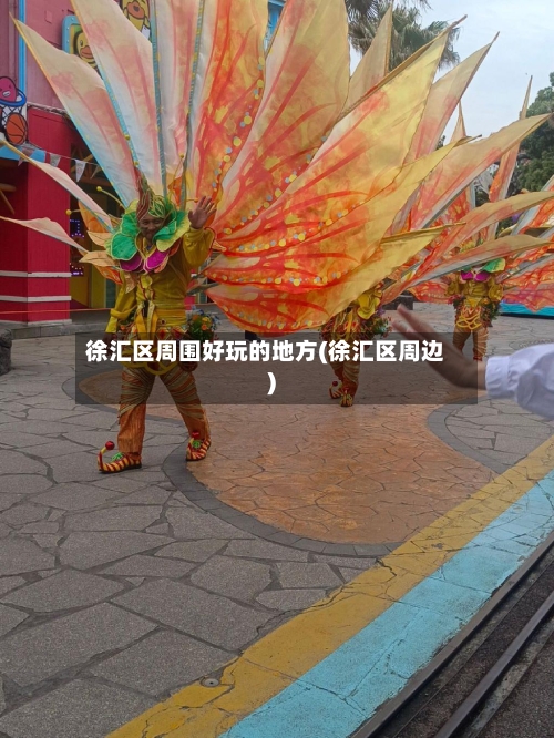 徐汇区周围好玩的地方(徐汇区周边)