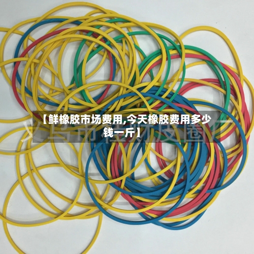 【鲜橡胶市场费用,今天橡胶费用多少钱一斤】