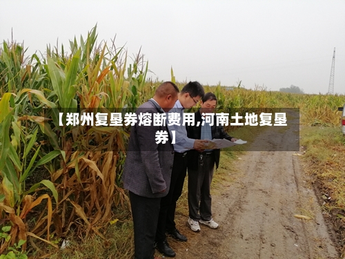 【郑州复垦券熔断费用,河南土地复垦券】-第2张图片