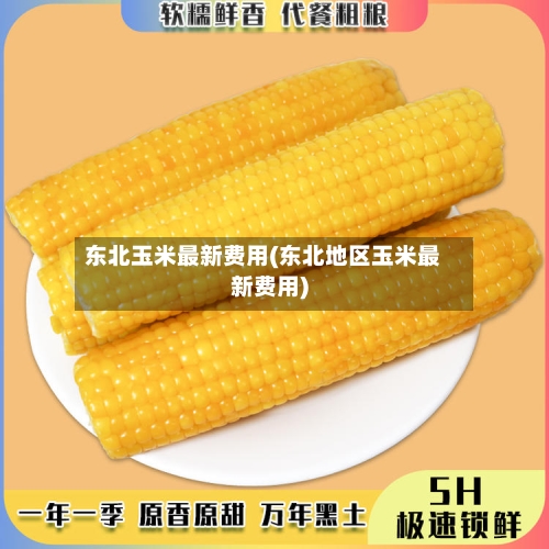 东北玉米最新费用(东北地区玉米最新费用)-第2张图片