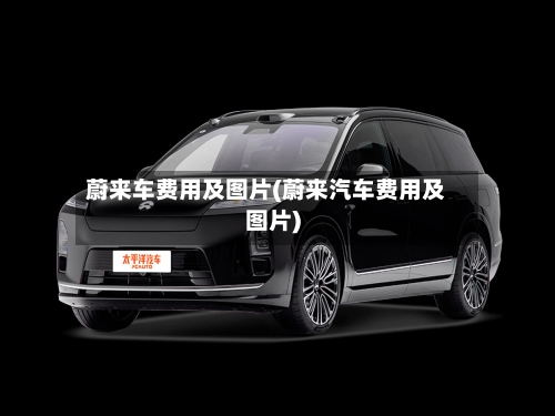 蔚来车费用及图片(蔚来汽车费用及图片)-第2张图片