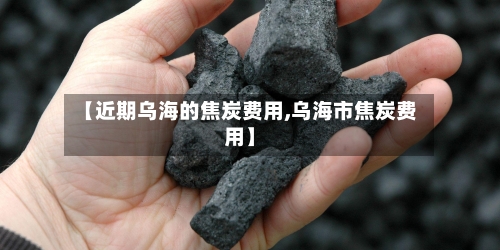 【近期乌海的焦炭费用,乌海市焦炭费用】-第3张图片